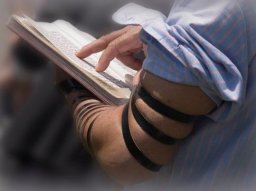 Praying with Tefillin