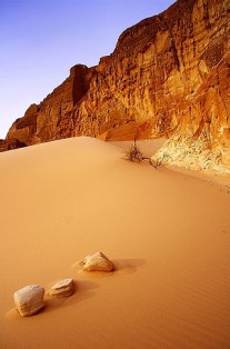 The Sinai Desert