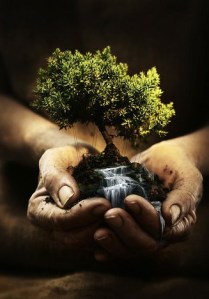 Hands of the Gardener