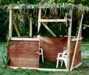 The empty sukkah