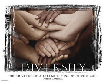 diversity-dayenu