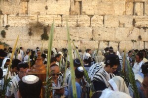 sukkot jerusalem