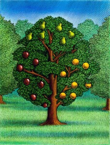 the-fruit-tree