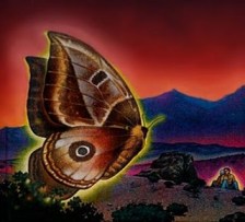 CASTANEDA_kraftensgjerninger