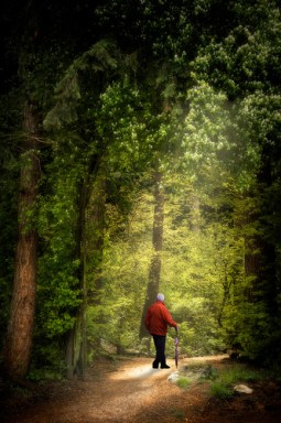 walking-home-to-eden