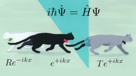 quantum-physics-cat