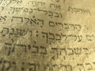 torah_up_close