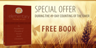 Elementary Principles