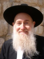 Rabbi Zelig Pliskin