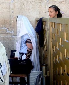 mechitza-kotel